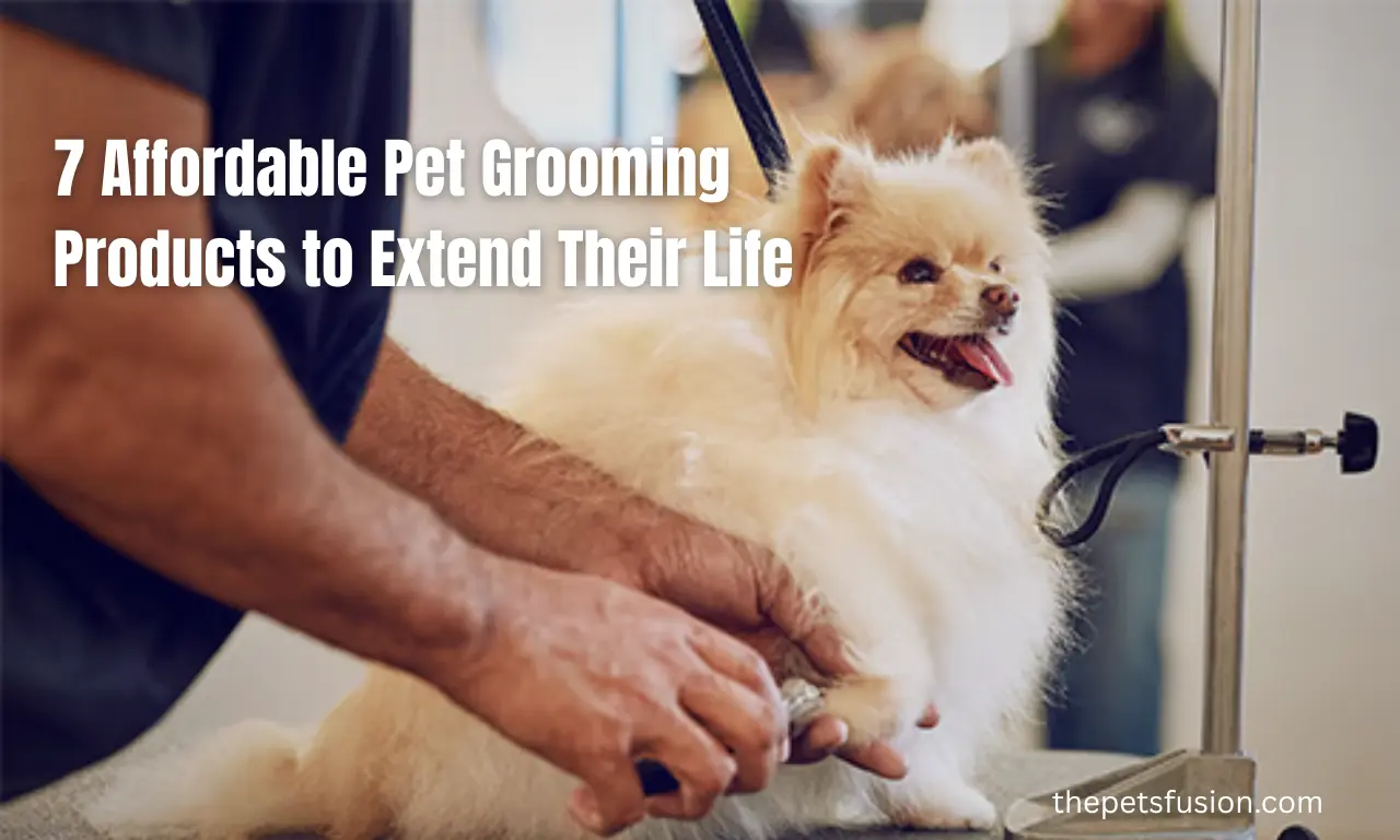 7 Affordable Pet Grooming Products to Extend Their Life