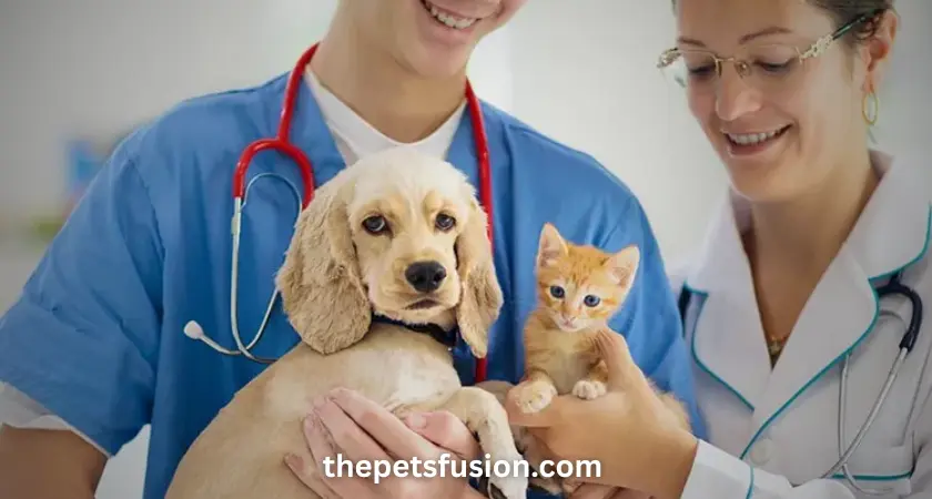 Pet Health Care Tips