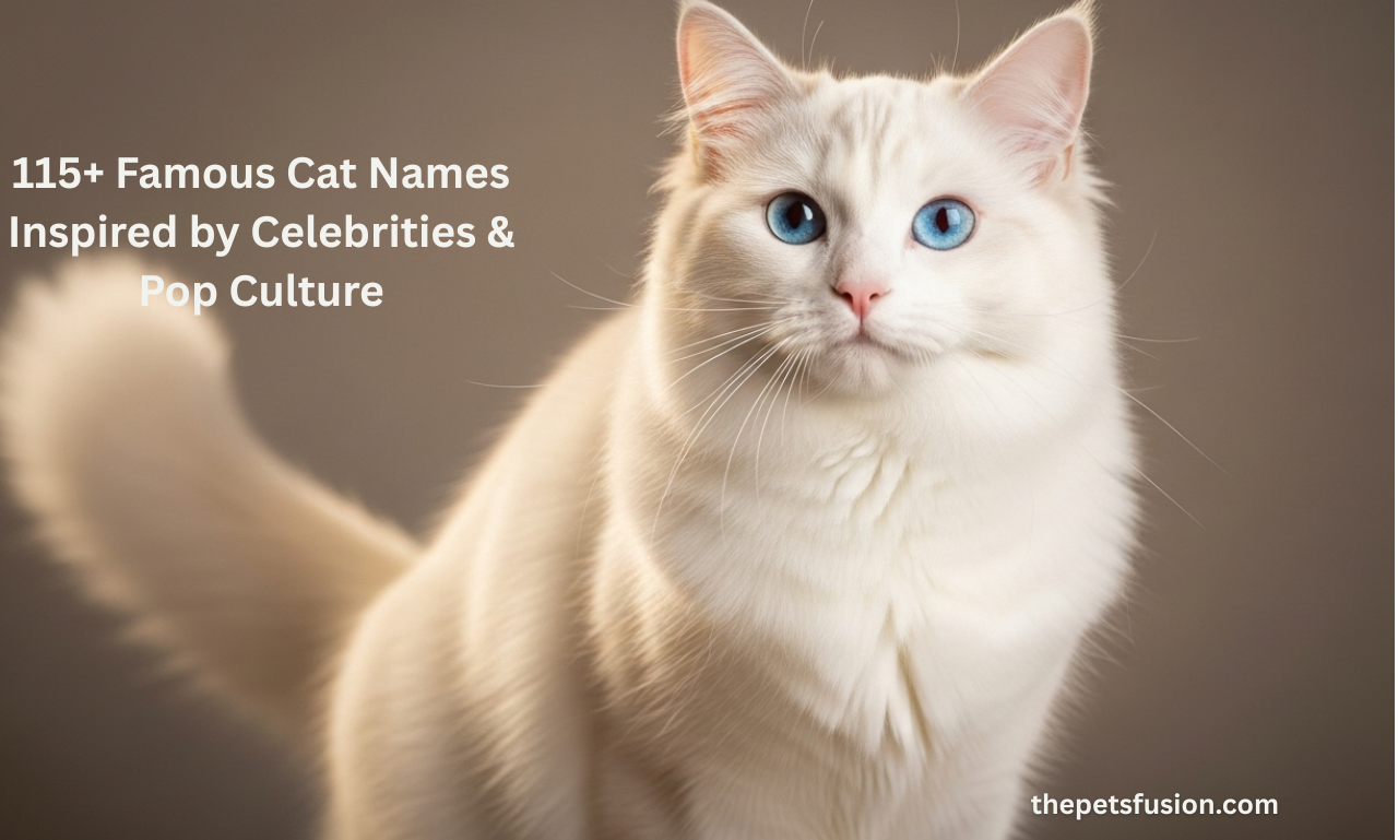115+ Famous Cat Names Inspired by Celebrities & Pop Culture