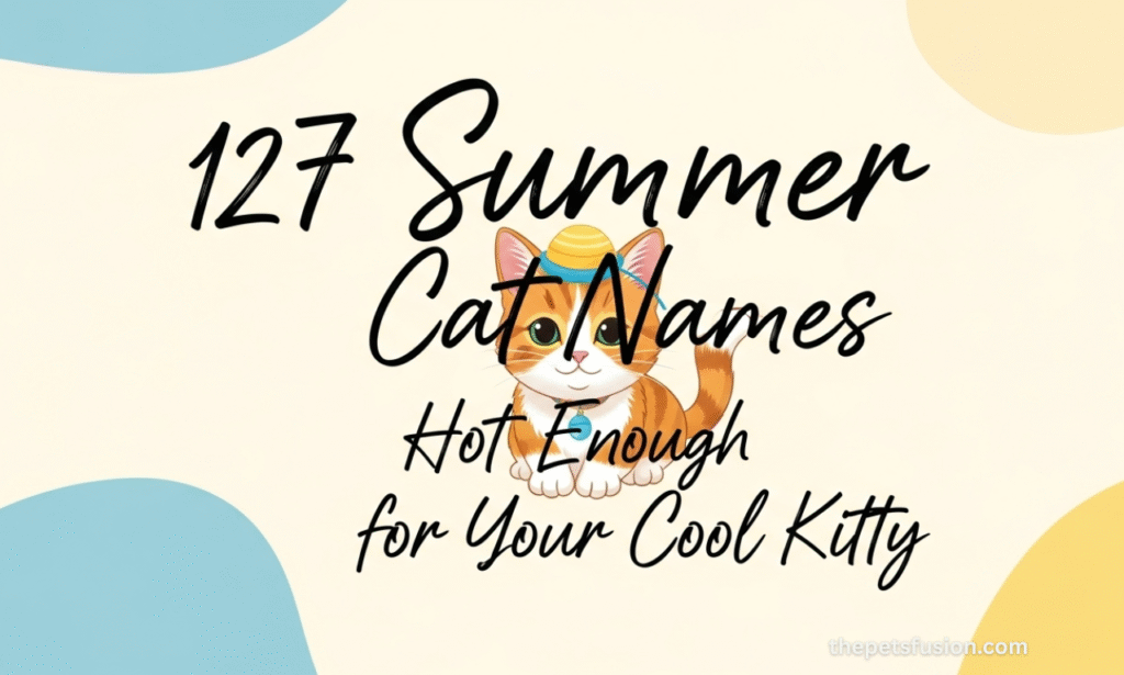 127 Summer Cat Names Hot Enough for Your Cool Kitty