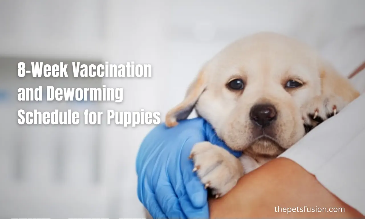 8-Week Vaccination and Deworming Schedule for Puppies