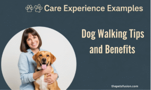 Pet Care Experience Examples: Dog Walking Tips and Benefits