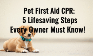 Pet First Aid CPR 5 Lifesaving Steps Every Owner Must Know!