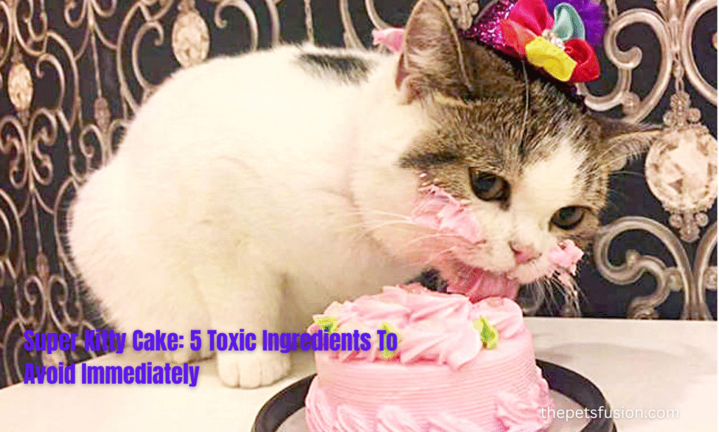 Super Kitty Cake 5 Toxic Ingredients To Avoid Immediately